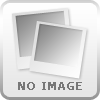 FISCHER TWIN SKIN SPEEDMAX 80 / im SET - Modell 2025/26